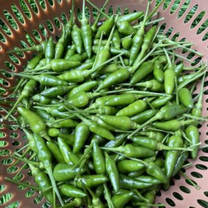 Fresh Bird Eye Green Chilli 100g