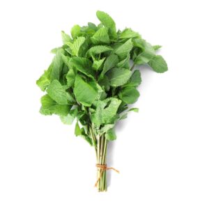 Fresh Mint | Pudeena (Bunch)