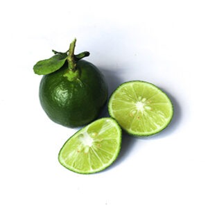 Fresh green Lime (Single)