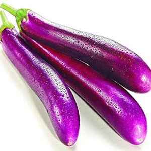 Pink Ravaya Long Brinjal 1kg