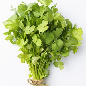 Fresh Coriander | Dhaniya | Cilantro leaves (Bunch) - 200g