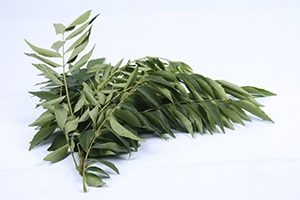 Fresh Curry leaves (Sweet Neem Leaves) - 15g
