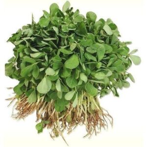 Fresh Fenugreek / Methi Leaves Bunch (Approx 150g)